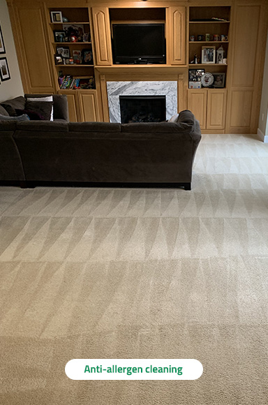 Anti-Allergen Cleaning Anti-Allergen Cleaning